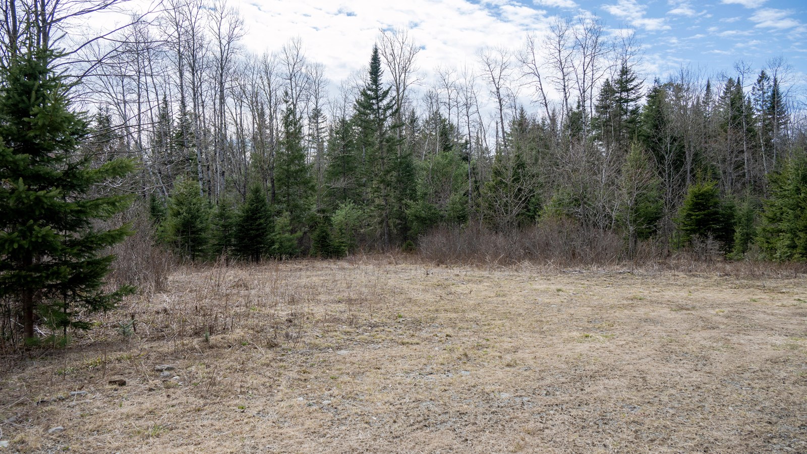 An empty parking area to the left with a gravel trail that leads north into the woods.