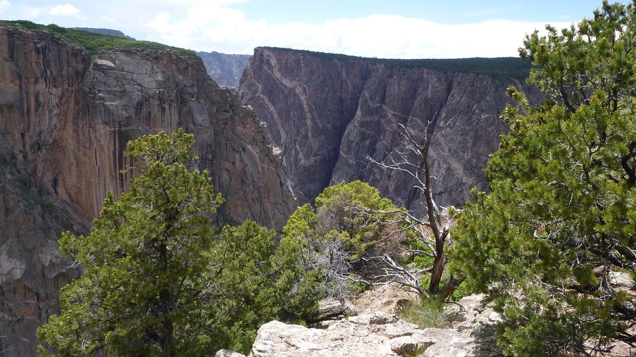 Chasm View Nature Trail