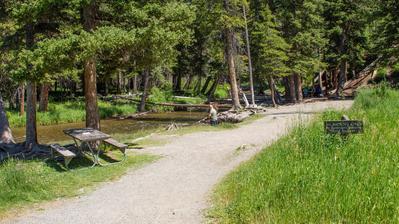 Picnic tables off a path near a stream in a forested area.