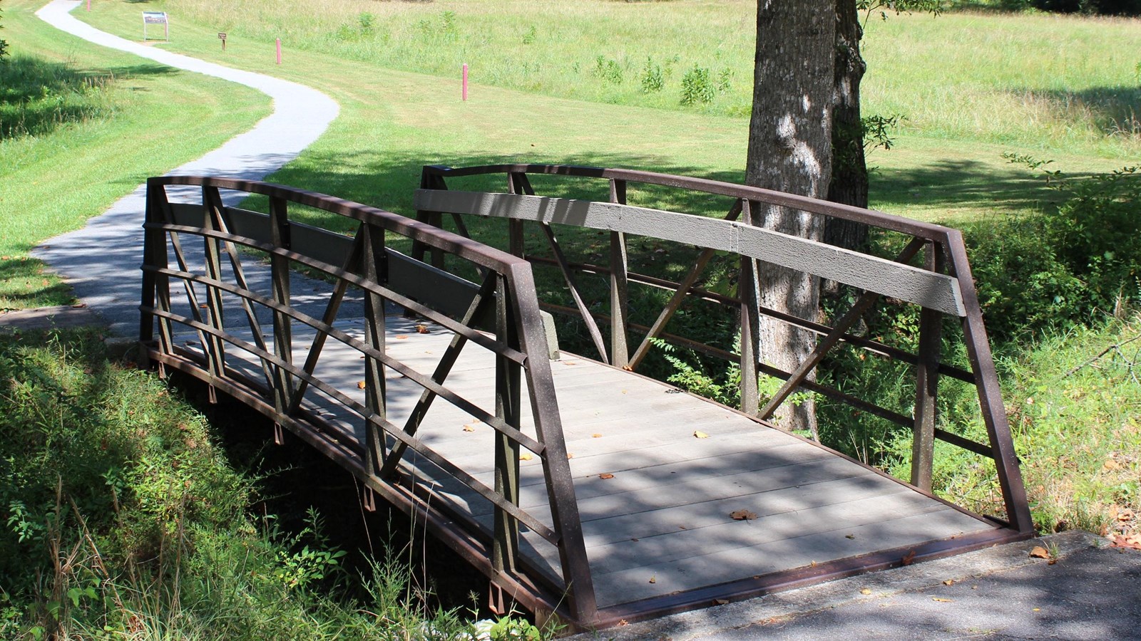 A small footbridge crosses a gulley. 