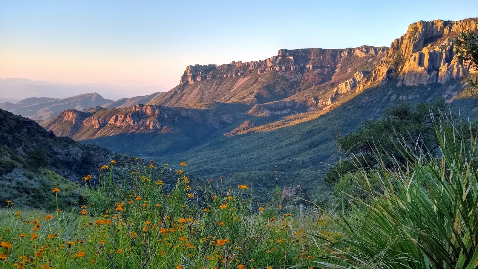The views from a high saddle encompass a long canyon and the desert in the distance.