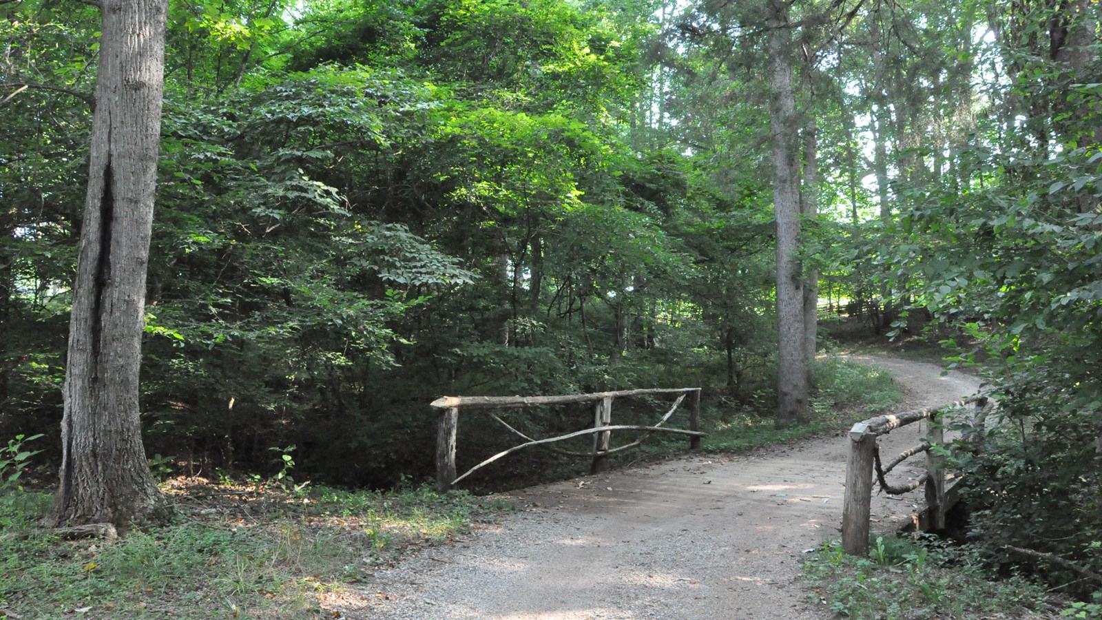 Jack-O-Lantern Branch Nature Trail
