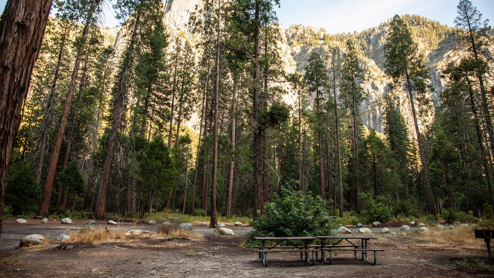 Picnic tables under tall trees and a towering granite wall