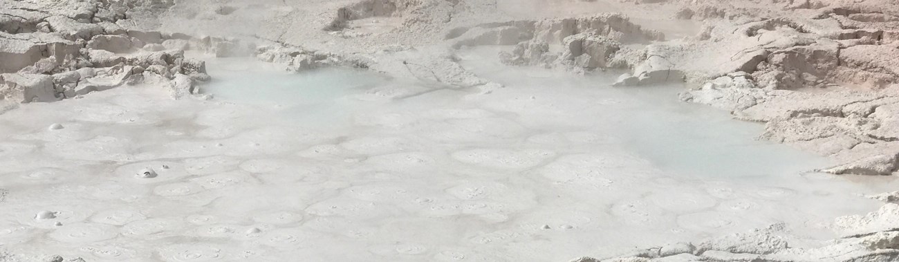 Bubbling tan, gray, brown, and pink mudpots in the crater of Fountain Paint Pot.