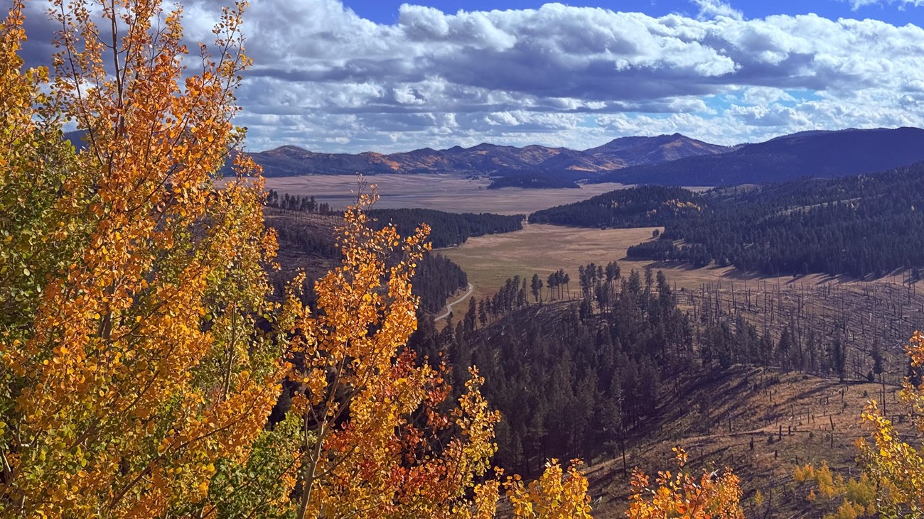 A vast, mountainous view with colorful trees in the foreground.