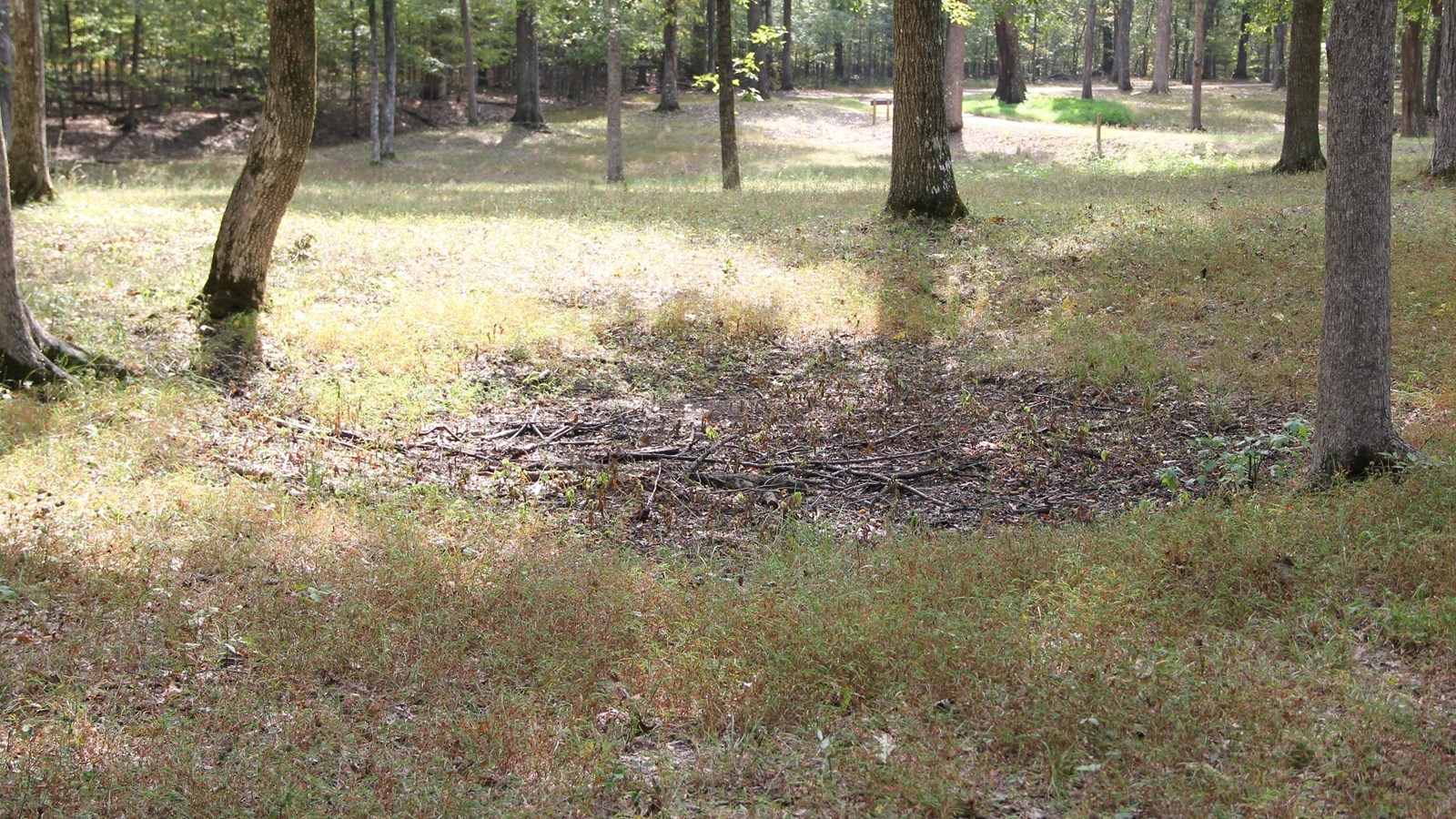 Modern picture of a borrow pit