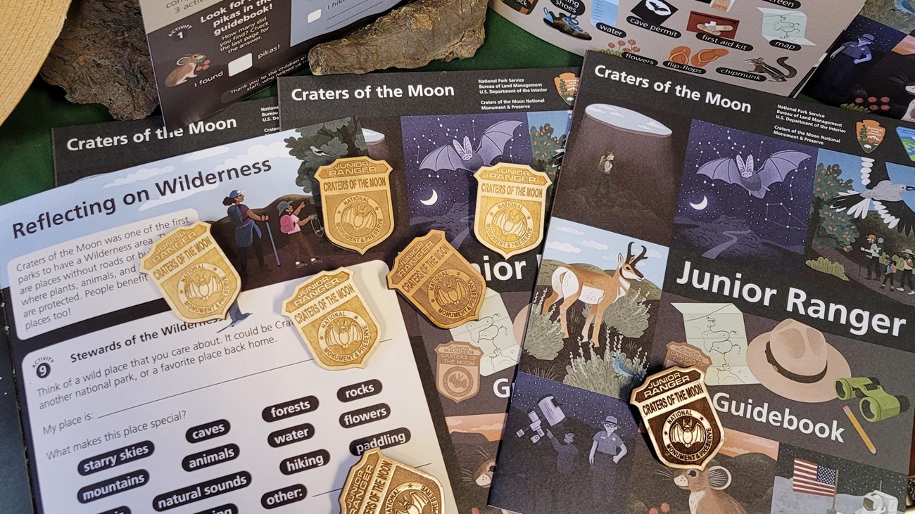 a display featuring a junior ranger guidebook and several activities and junior ranger badges
