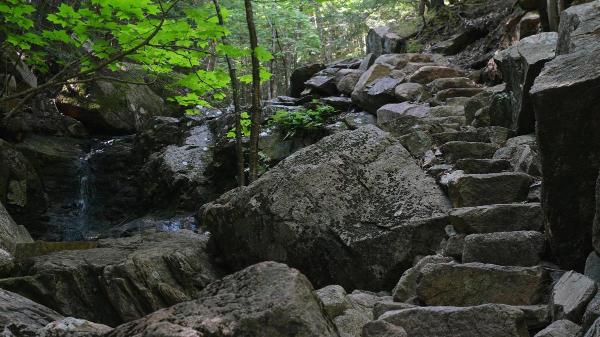 Rock steps pass a small cascade in a forest