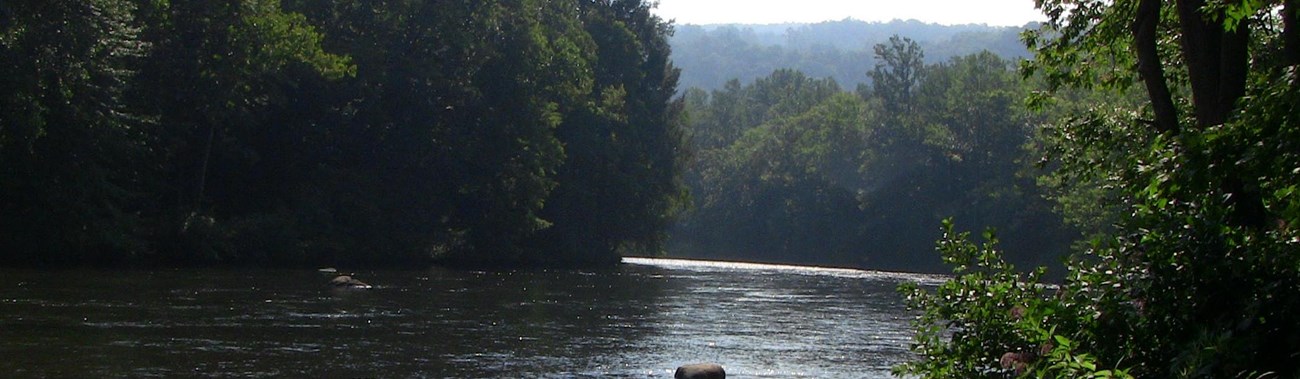 river with trees on both sides