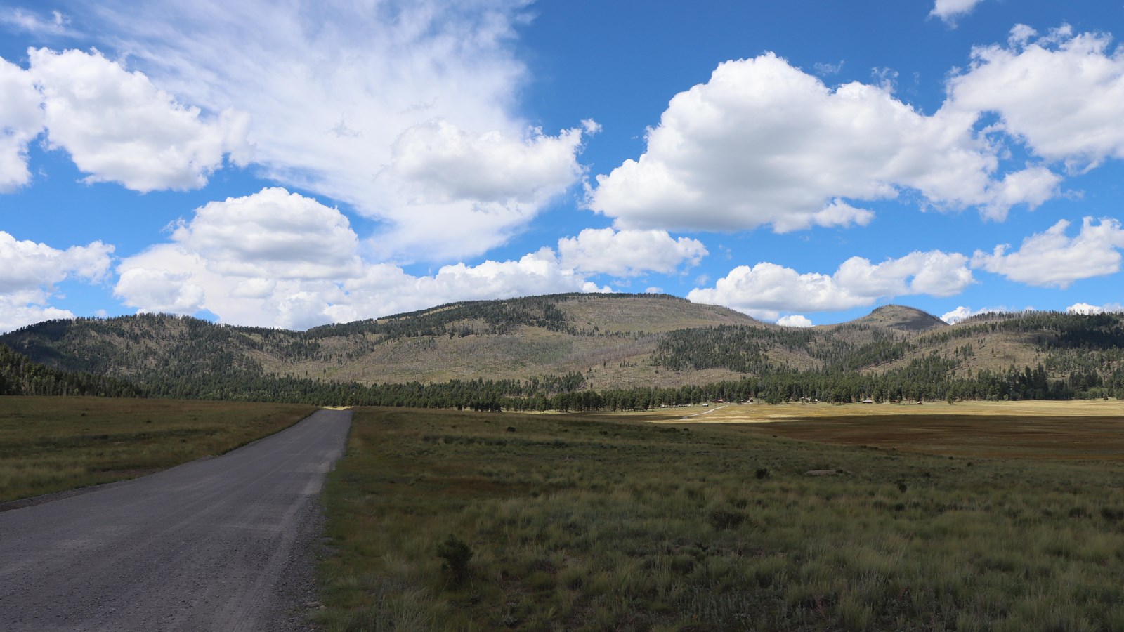 A gravel road stretches through a montane grassland toward a distant, oblong mountain