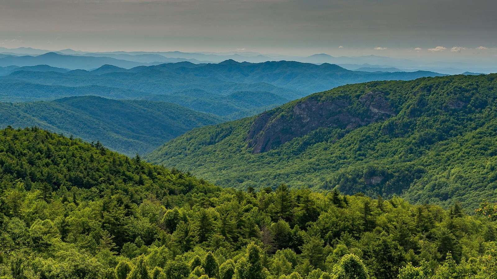 Thick green forests cover mountains and valleys stretching to the horizon