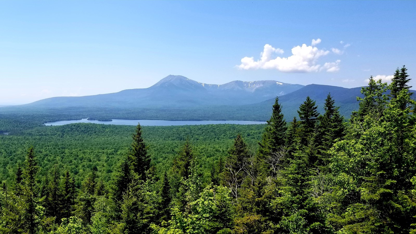 An overlook of an expansive forest with a lake and mountain range in the background