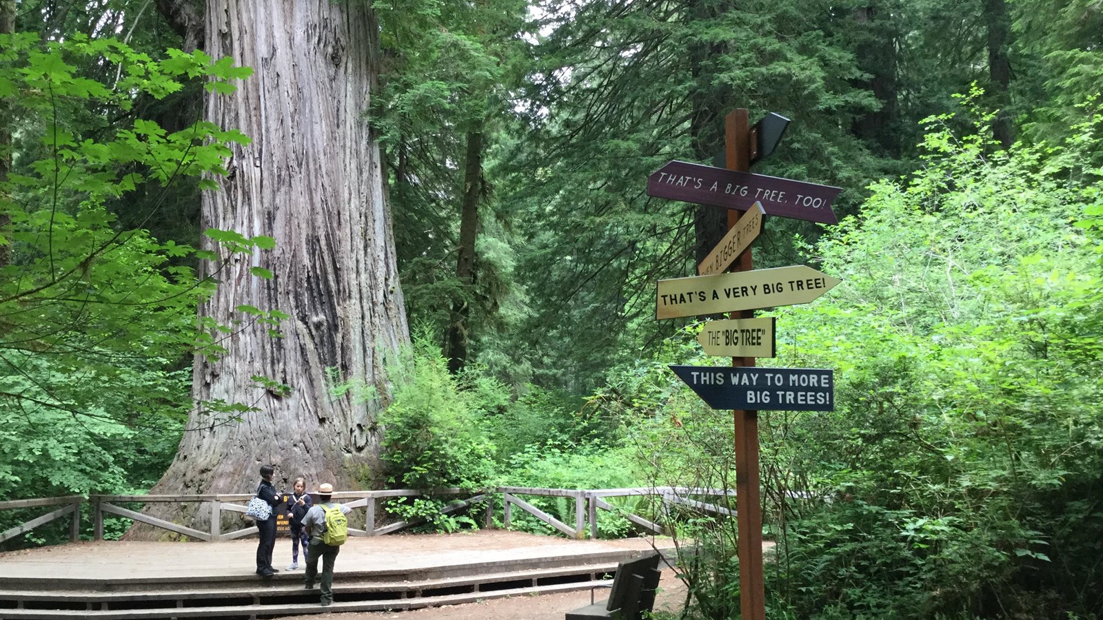 People stand next to redwood tree and a viewing deck. Orientation signs in the foreground.