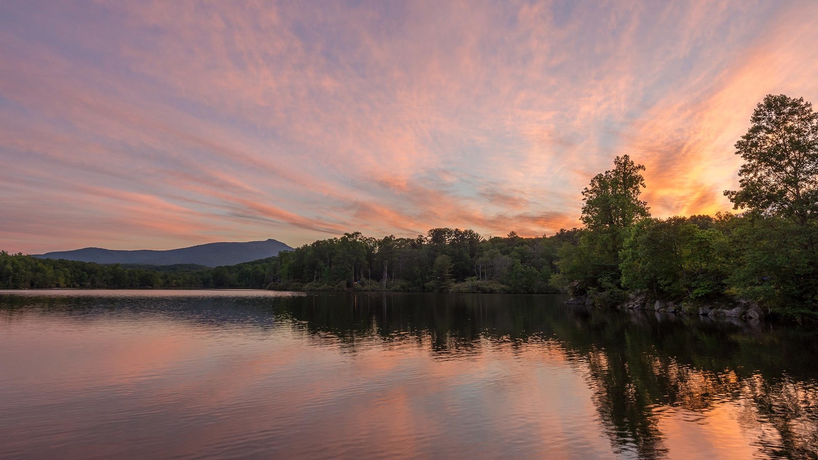 Pink sunset clouds are reflected in a quiet lake that is surrounded by dense, green forests