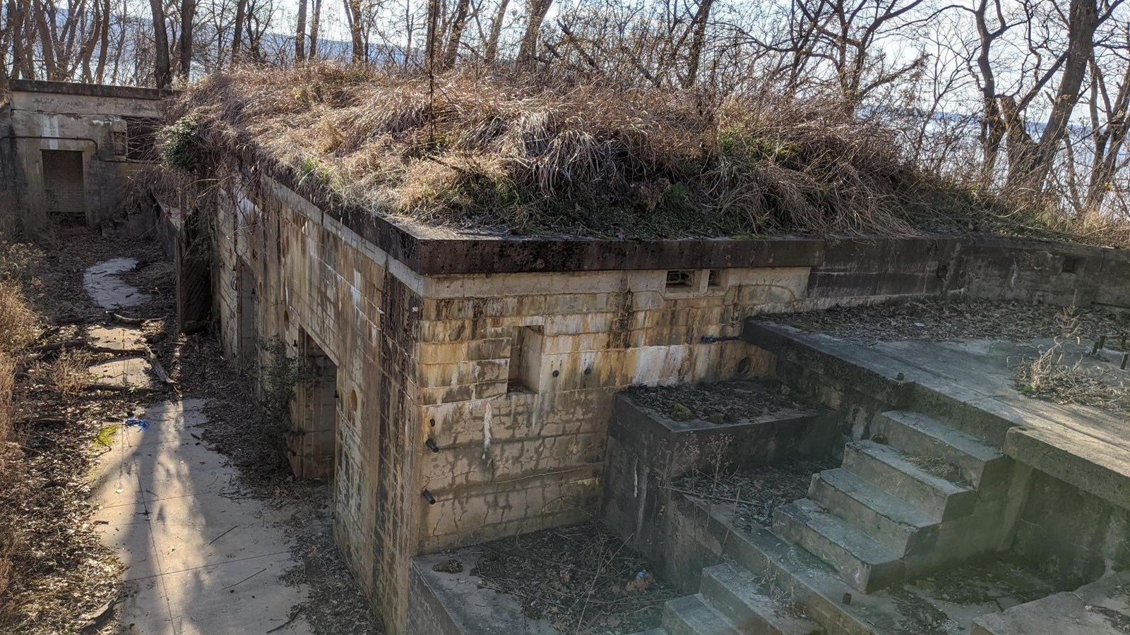 Photo of Battery James Many in the woods. One of the eight concrete and steel batteries in the park