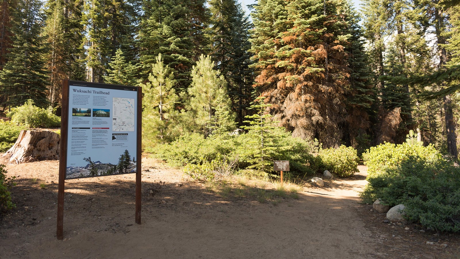 A metal framed sign stands in front of small trees, behind them loom larger trees