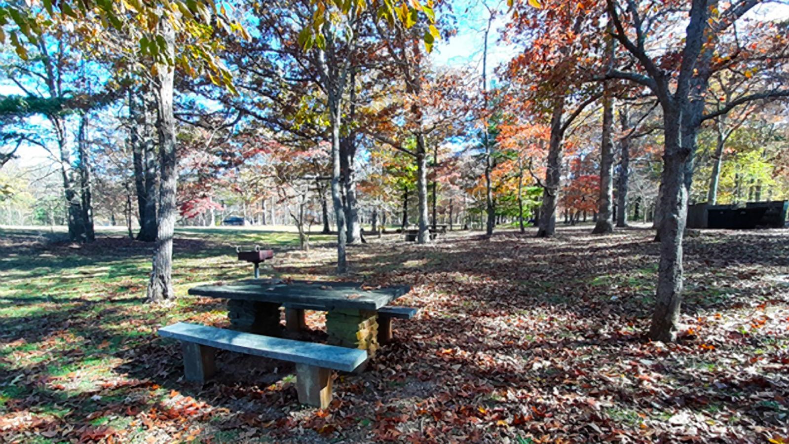A concrete picnic table sits empty on a grassy lawn dotted with colorful leaves