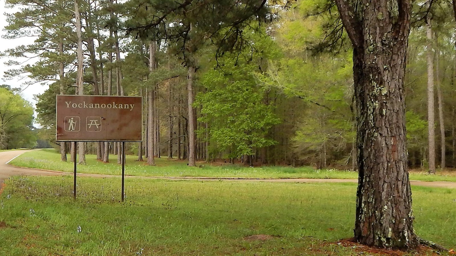 View of Yockanookany from Parkway. Brown and White color sign name location.