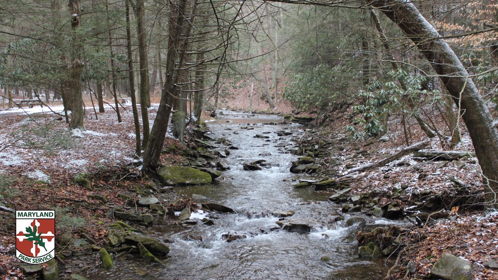 A tranquil stream flows through a wooded area with snow on the ground.