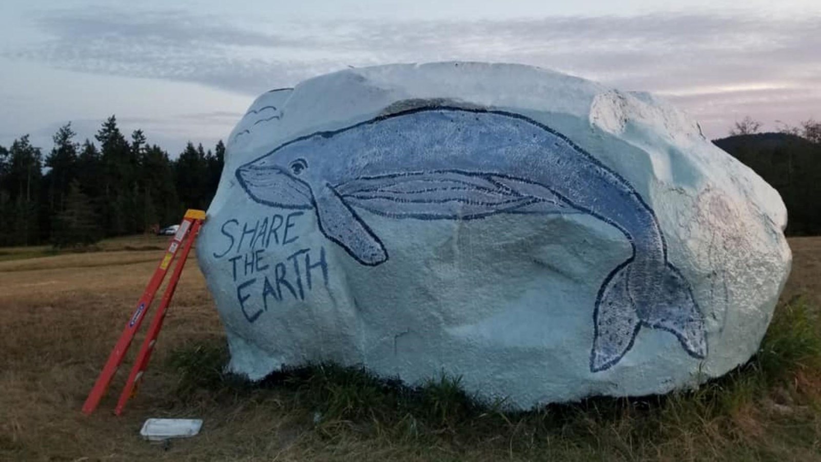 photograph of a painted rock with a whale image and a ladder beside it