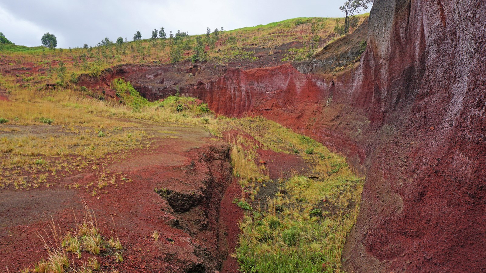 A red wall of cinders with grass growing below