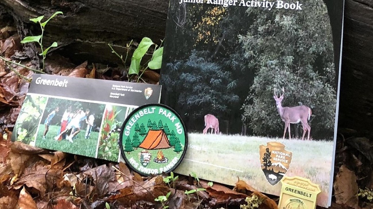 Greenbelt Park Junior ranger booklet