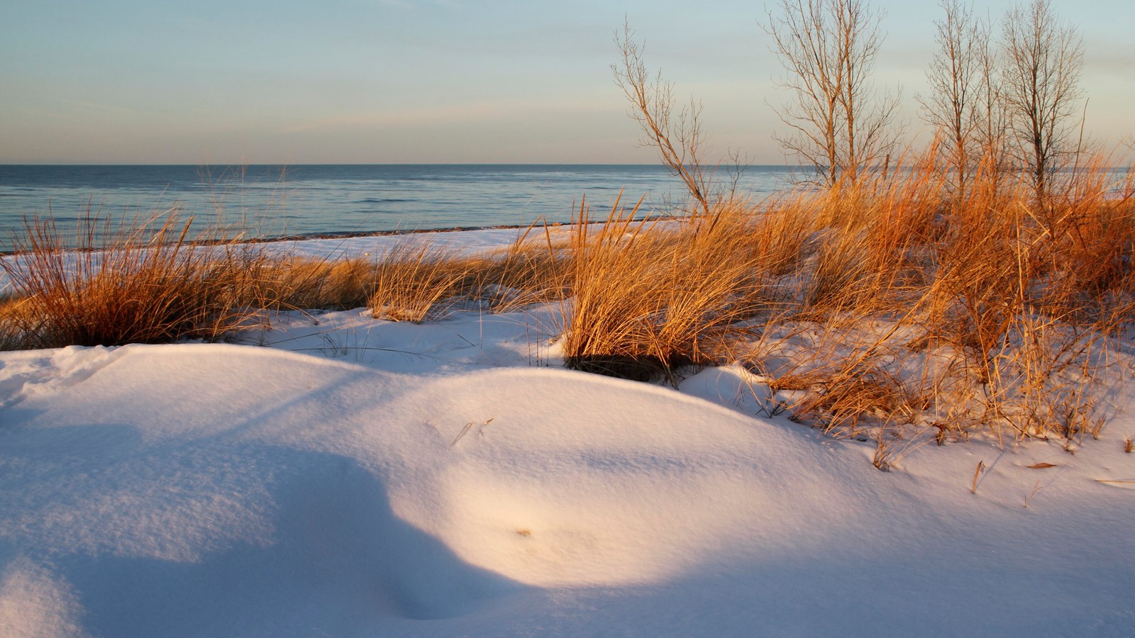 Snow covers the ground.  Yellow blades of marram grass poke through.