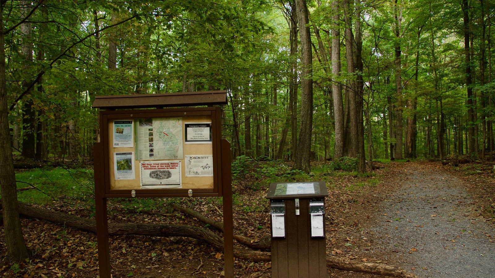 A wooden bulletin board next to a wooden map kiosk alongside a forested trail.