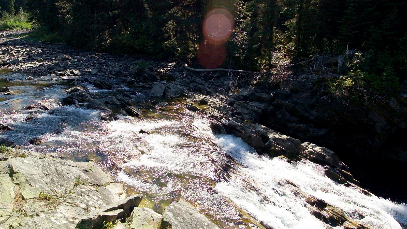 Turbulent water rushes below lichen-covered rocks. Conifers are visible in the background.