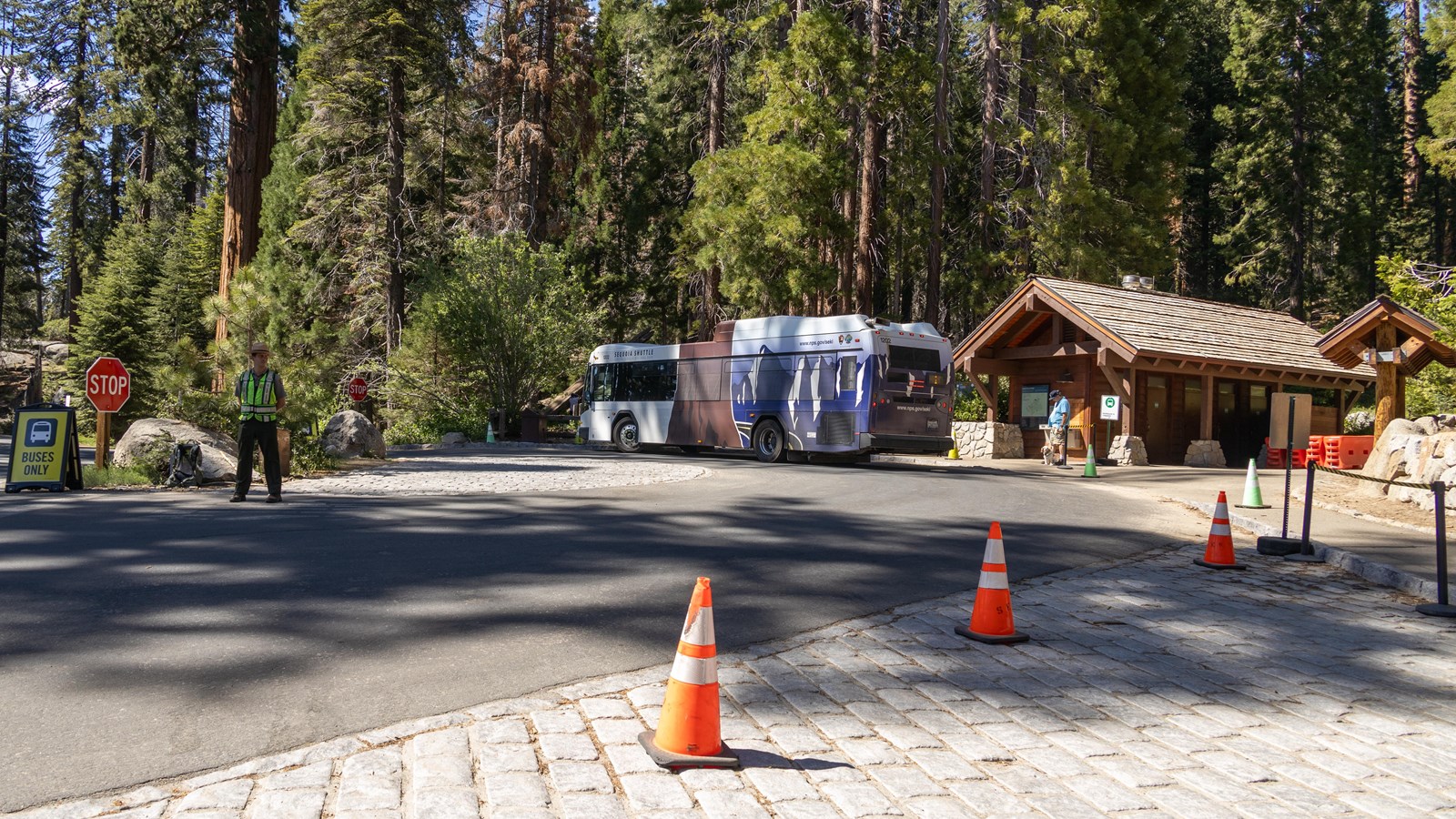 A park ranger directs traffic at a shuttle stop with bathrooms and a white shuttle bus.