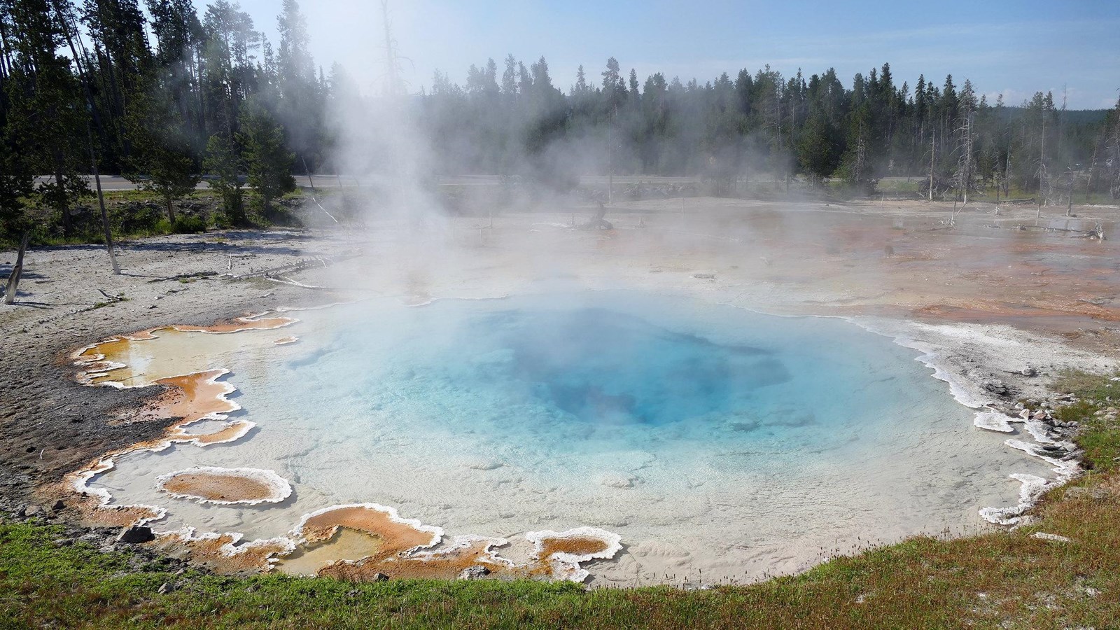 Steam rises off a blue hot spring in a geyser basin.