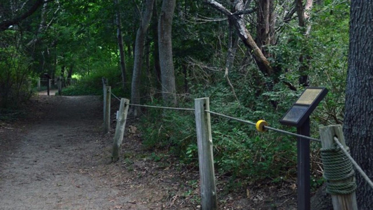 Posts with rope along wooded trail.