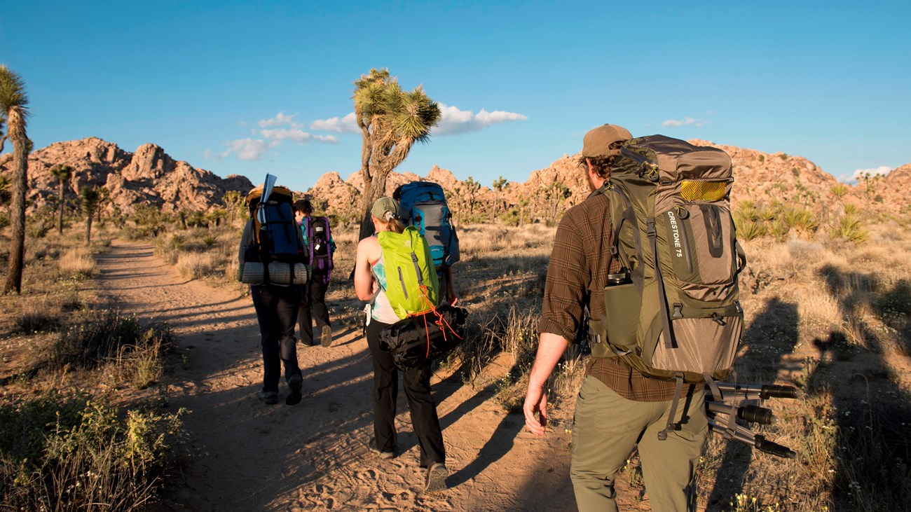 Four backpackers hiking down a dirt trail towards rocky outcrops on the horizon.