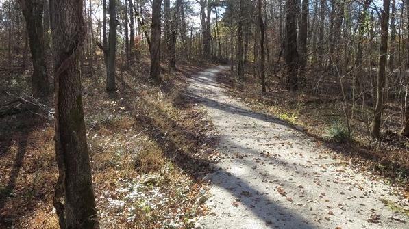 Wooded gravel trail