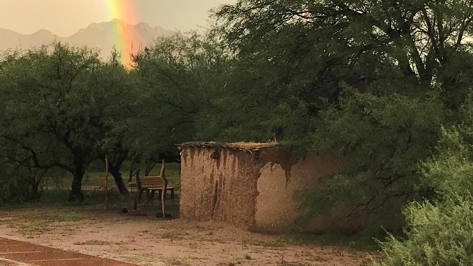 mud house set in mesquite trees with rainbow overhead