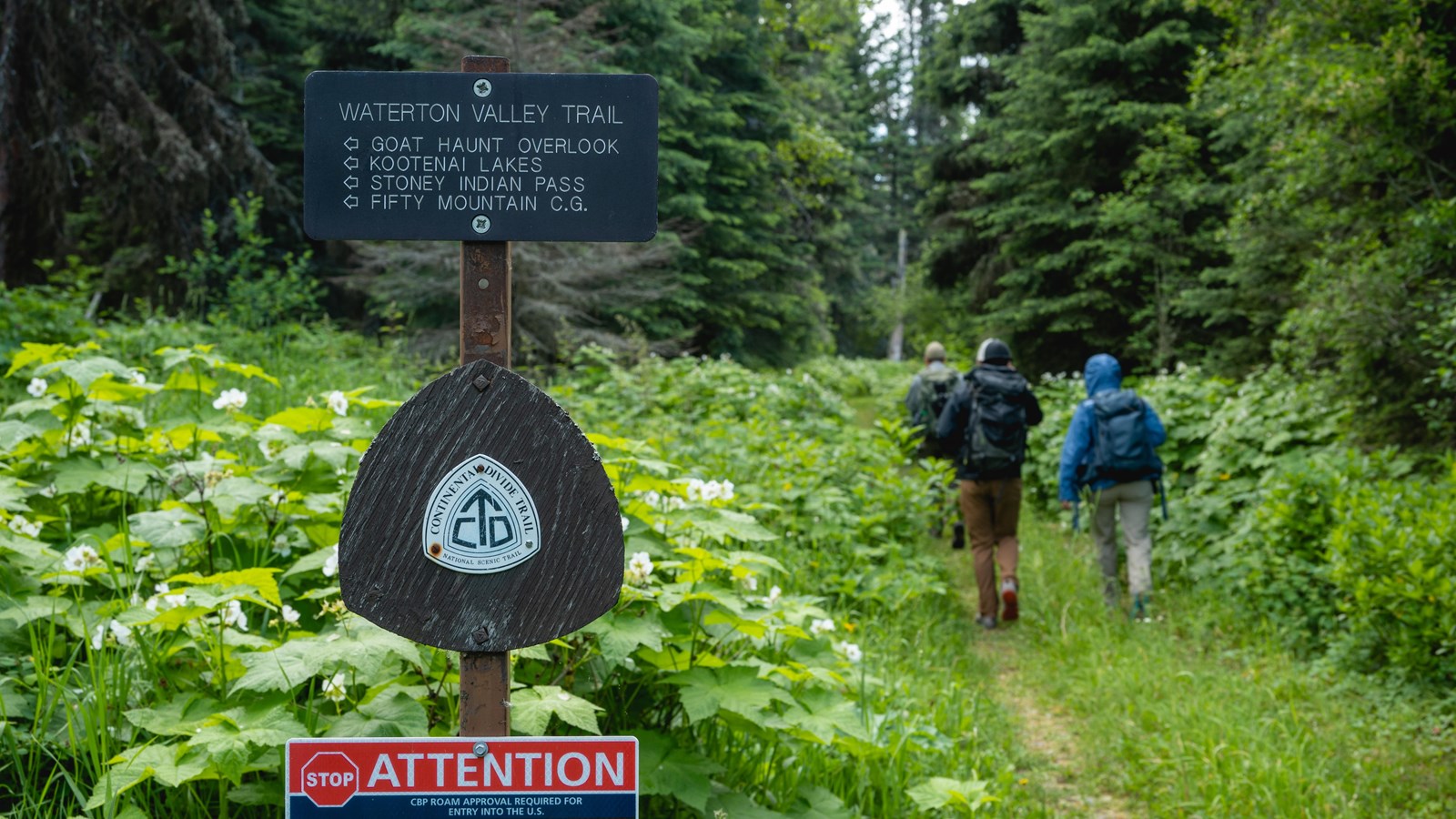 Three hikers walk on a trail surrounded by greenery. A trail marker sign is in the foreground.