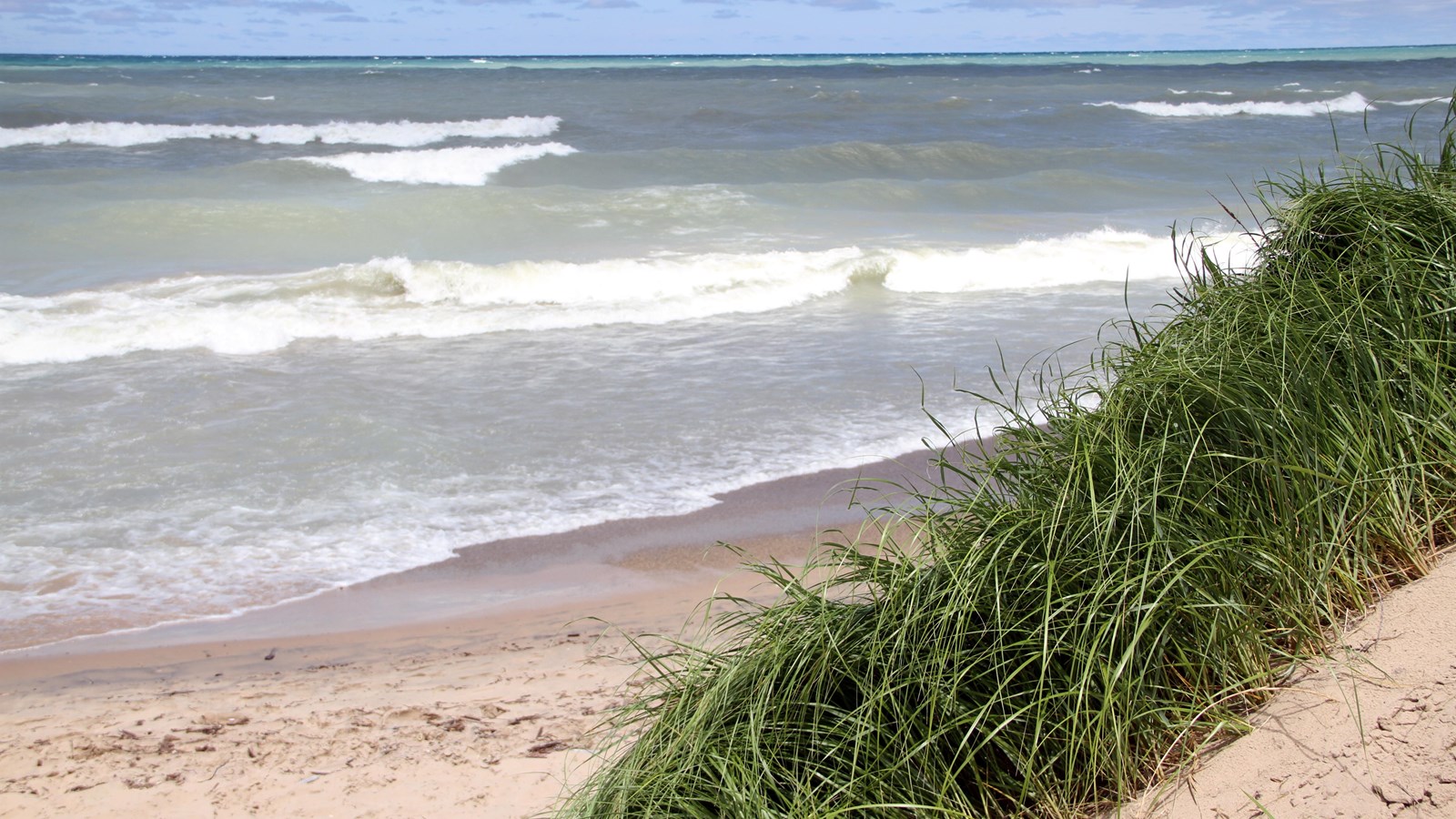 Waves crash against the shoreline.  Green blades of marram grass grow in a large cluster feet away.