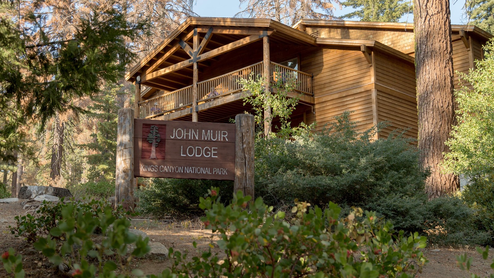 A large brown building sits nestled between tall trees. In front of it are green bushes.