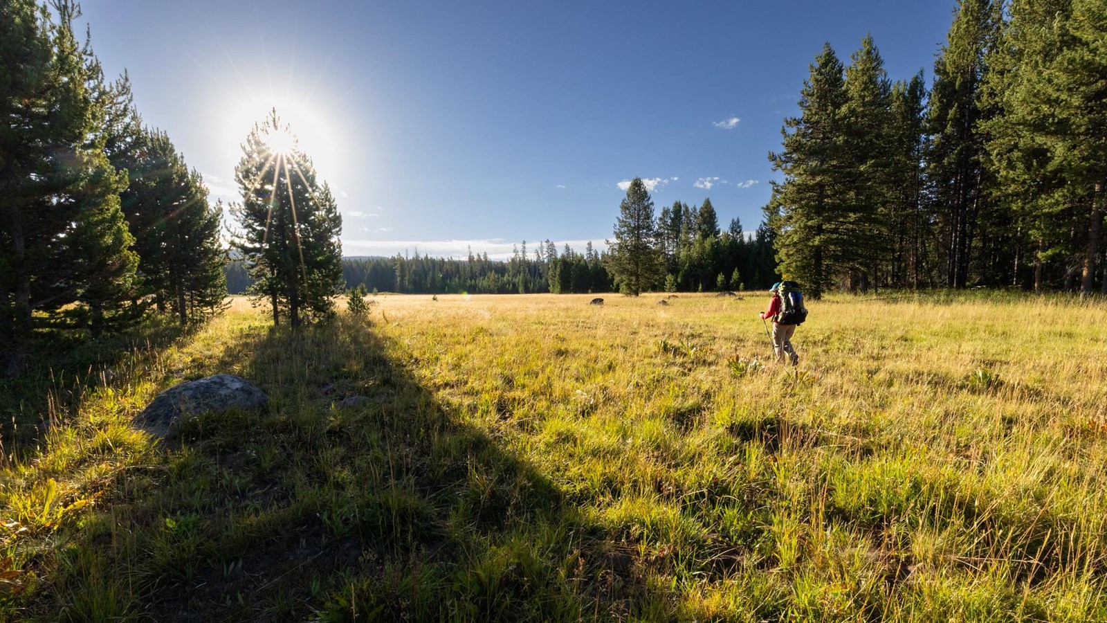 A person hikes through a green meadow surrounded by forest.