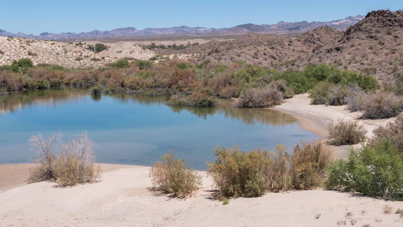 A sandy dunes in a desert landscape with a small body of water