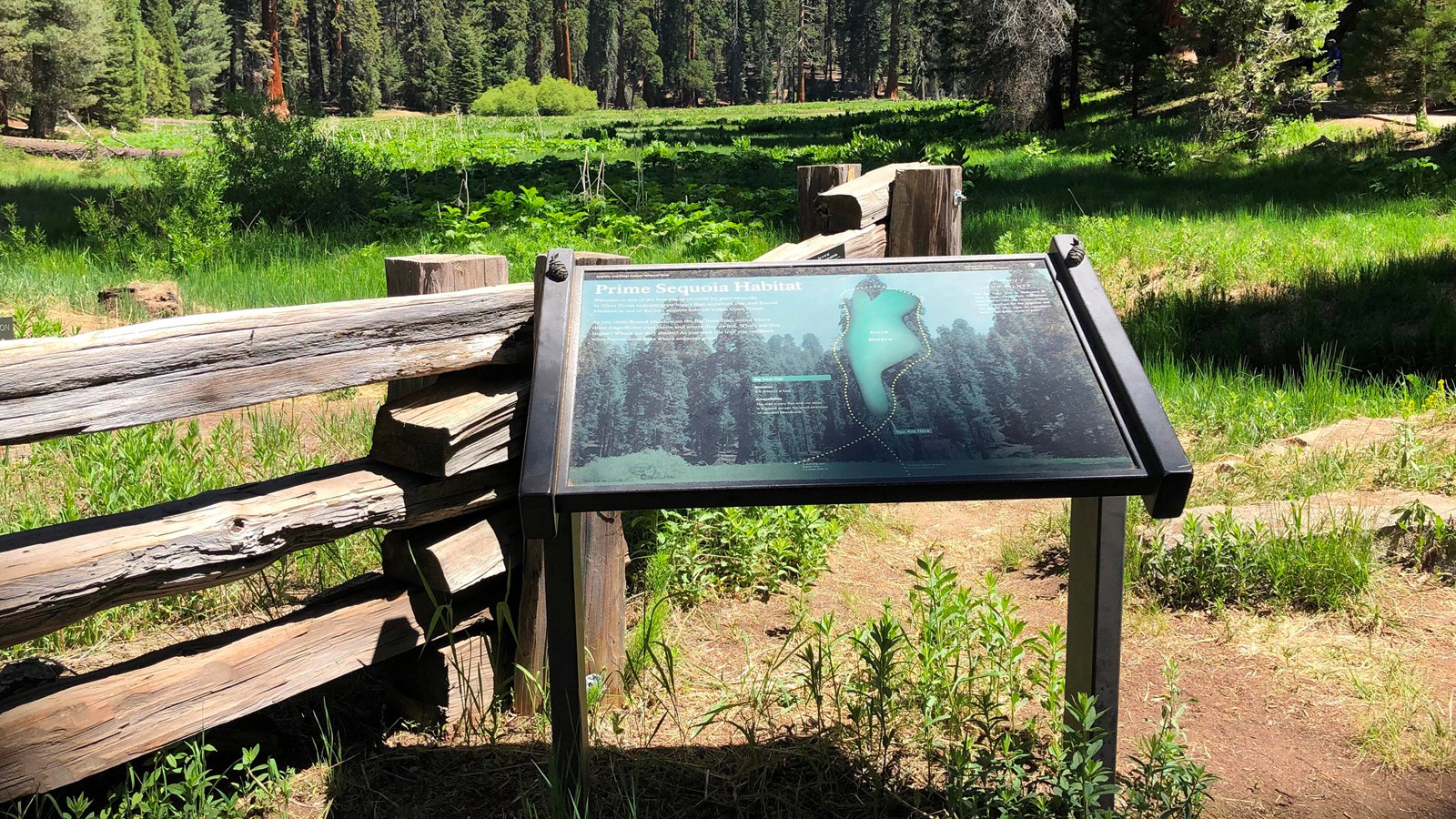 A outdoor exhibit sign sits in front of a wooden fence line, with a meadow in the background.
