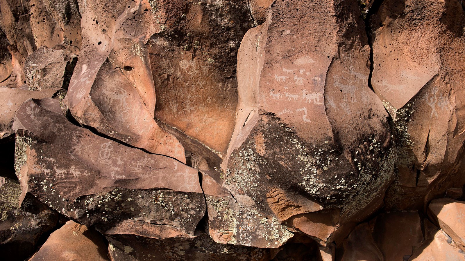 Dozens of petroglyphs carved into dark basalt rock.