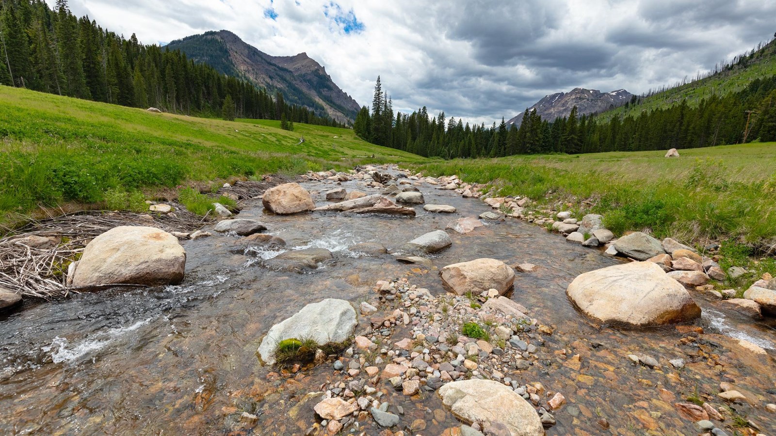 A creek runs through a green meadow surrounded by forest with mountains in the distance.