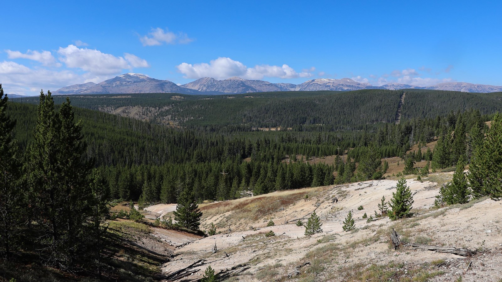Overlooking a forest with mountains in the distance.