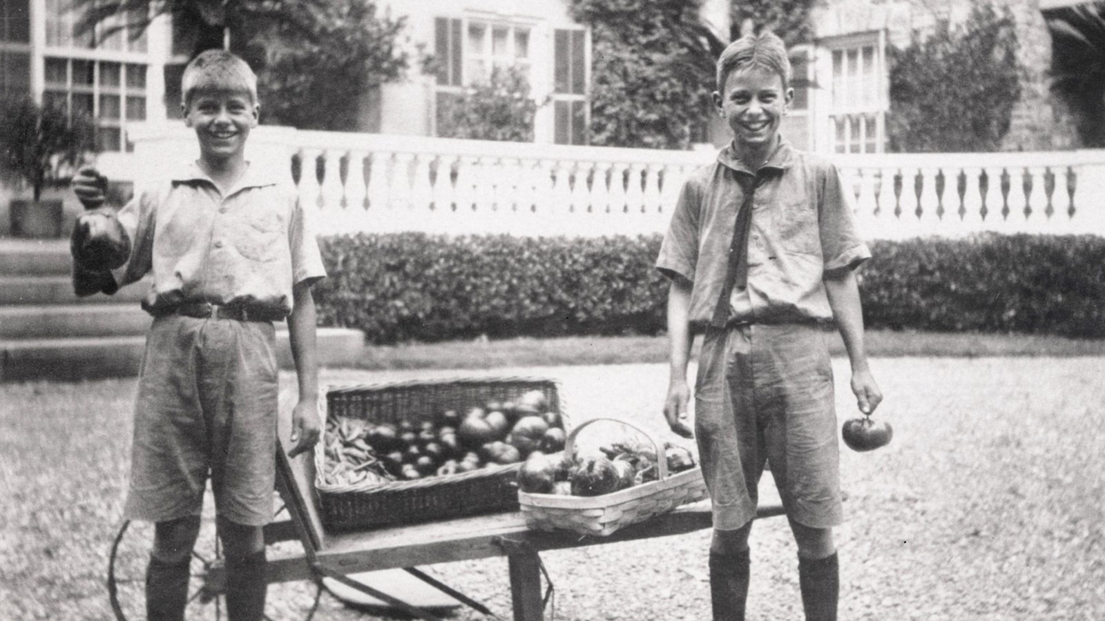 Two boys stand near a cart hold produce from a garden.