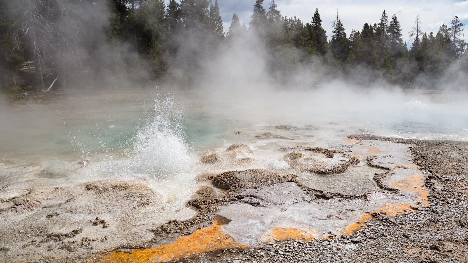 A geyser splashes water 1-2 feet in the air in a thermal basin.