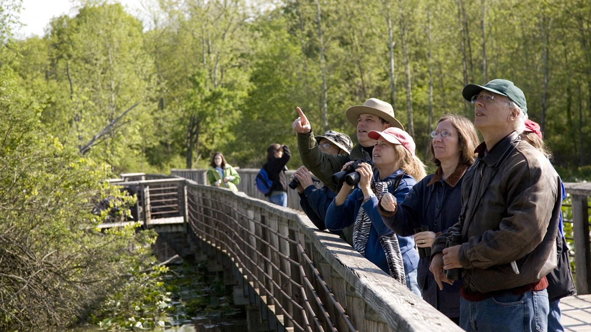 Uniformed ranger points upward, standing with several people on a wooden boardwalk, trees behind.