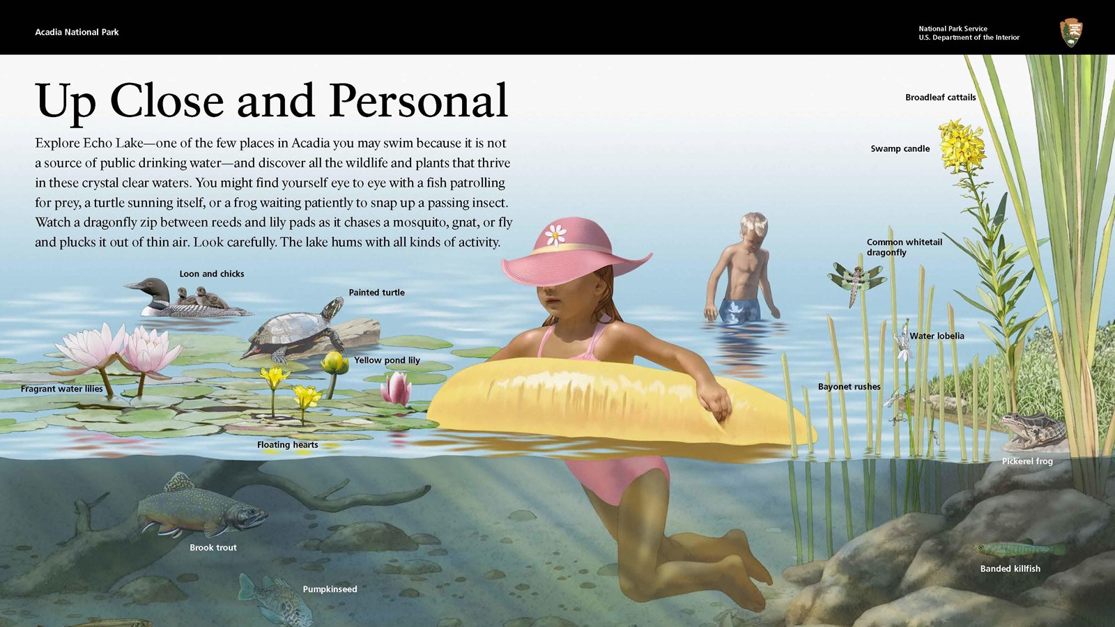 Image of an interpretive wayside entitled, 