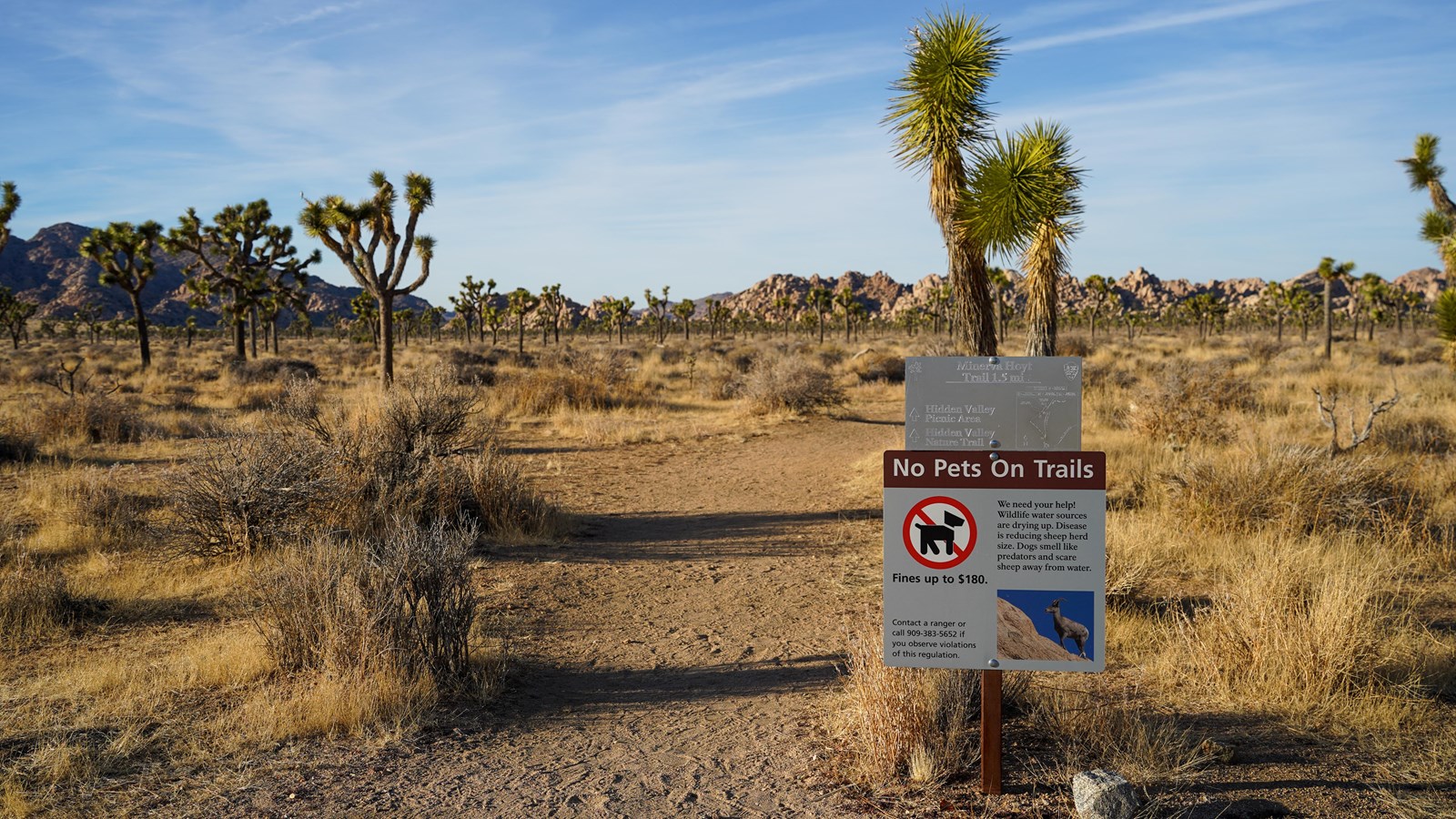 A trail begins through a desert landscape with a sign that reads