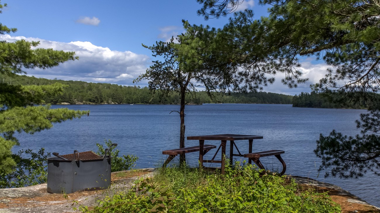 Picnic table and metal fire pit next to tree, overlooking lake with forest in background.
